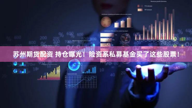 苏州期货配资 持仓曝光！险资系私募基金买了这些股票！