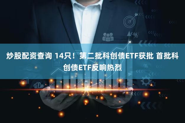 炒股配资查询 14只！第二批科创债ETF获批 首批科创债ETF反响热烈