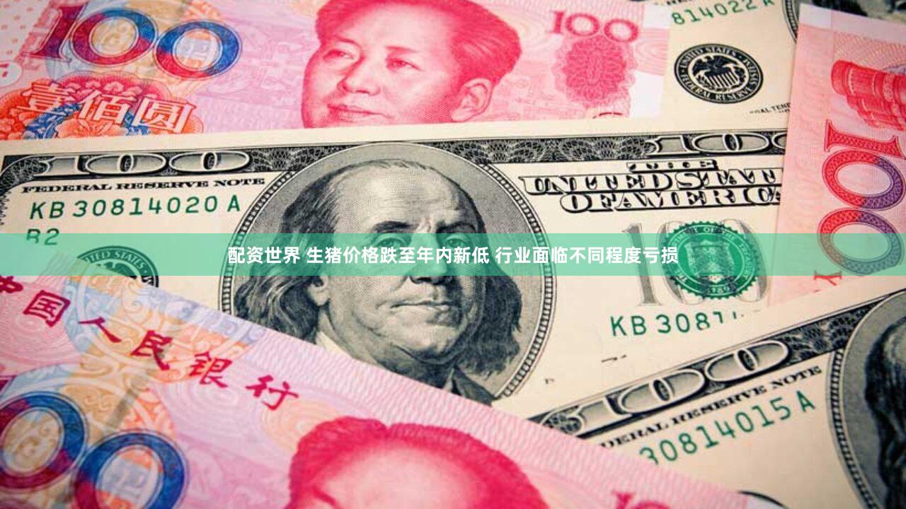 配资世界 生猪价格跌至年内新低 行业面临不同程度亏损