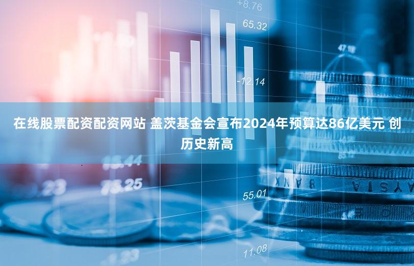 在线股票配资配资网站 盖茨基金会宣布2024年预算达86亿美元 创历史新高