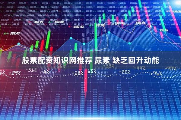 股票配资知识网推荐 尿素 缺乏回升动能