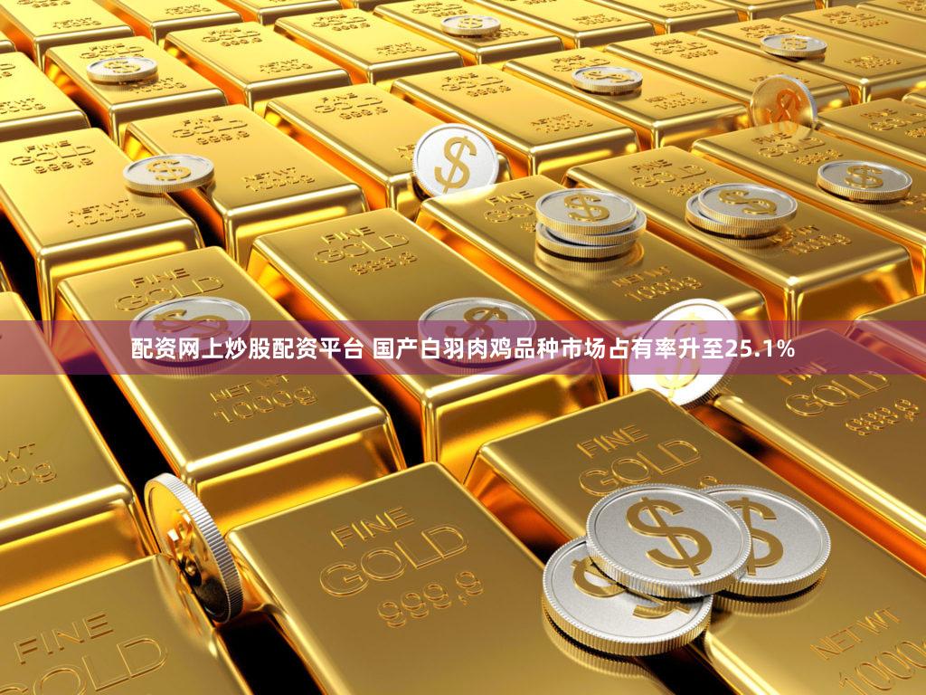 配资网上炒股配资平台 国产白羽肉鸡品种市场占有率升至25.1%